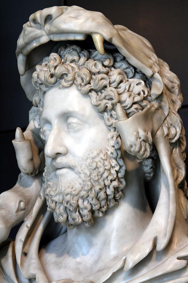 Commodus. The Gladiator would have been much more entertaining if Joaquin
Phoenix was walking around wearing a lion pelt.